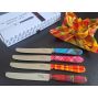 NEW copy of 6 CHIEN® knife with multicolored handle in white carton box